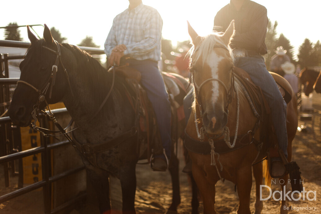 A preview of asset 57932