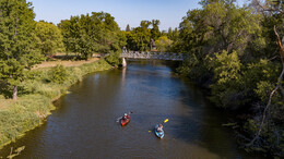 A preview of asset 109339