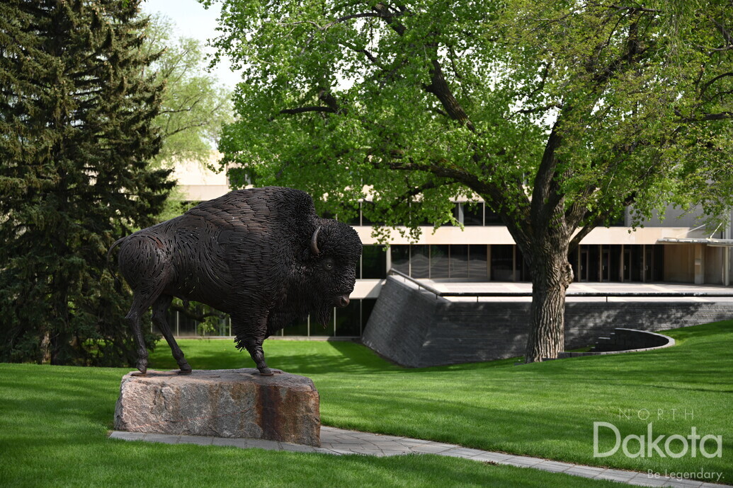 A preview of asset 76190