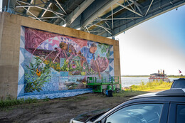 A preview of asset 132143