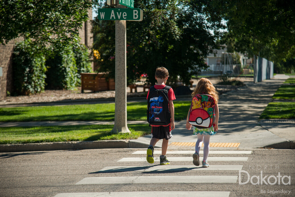 A preview of asset 50895