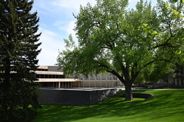 A preview of asset 76193