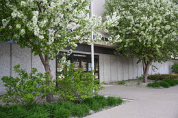 A preview of asset 76159