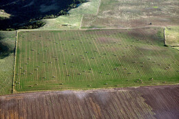 A preview of asset 57774