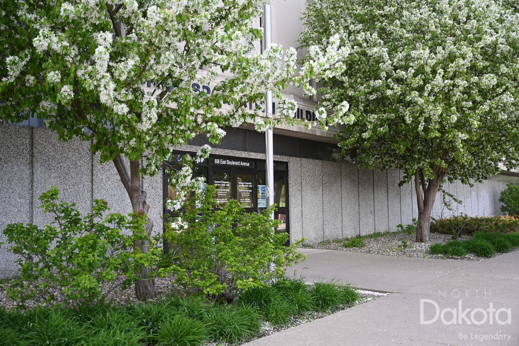 A preview of asset 76159