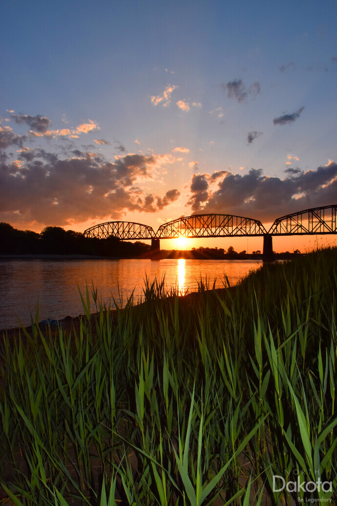 A preview of asset 69351