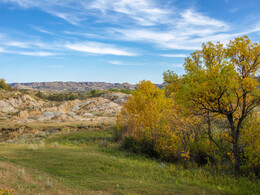 A preview of asset 74239