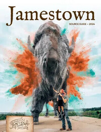 A preview of asset 79339