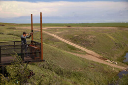 A preview of asset 74417