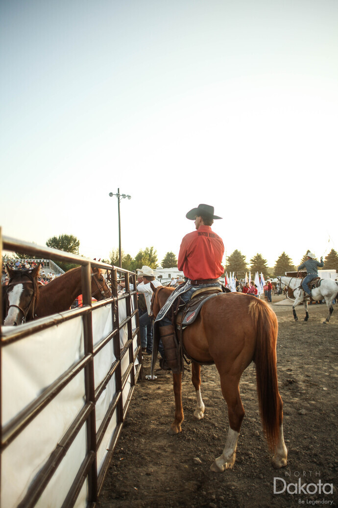 A preview of asset 57920