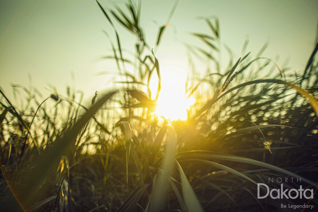 A preview of asset 57940