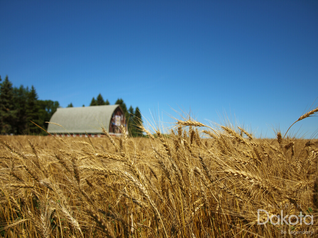 A preview of asset 69469