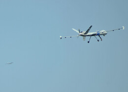 A preview of asset 72721