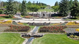 A preview of asset 88689