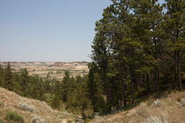 A preview of asset 58714