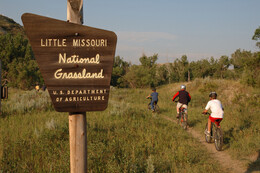 A preview of asset 58728