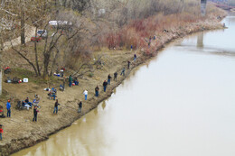 A preview of asset 69386