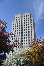 A preview of asset 76161