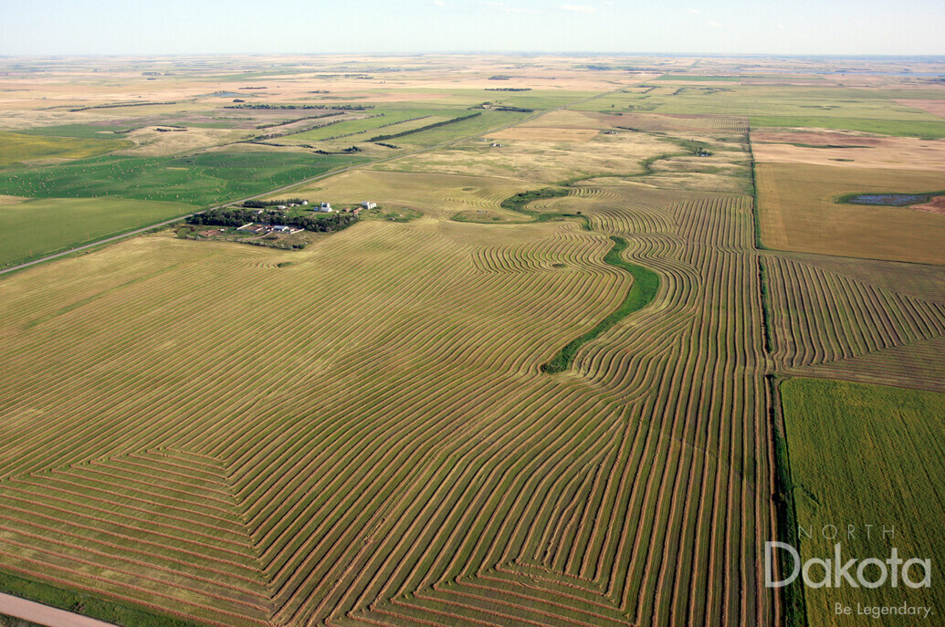 A preview of asset 57768