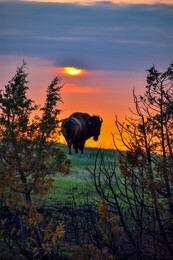 A preview of asset 74186