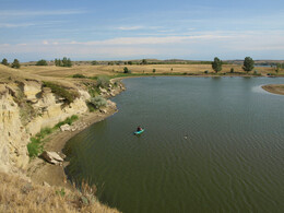 A preview of asset 69710