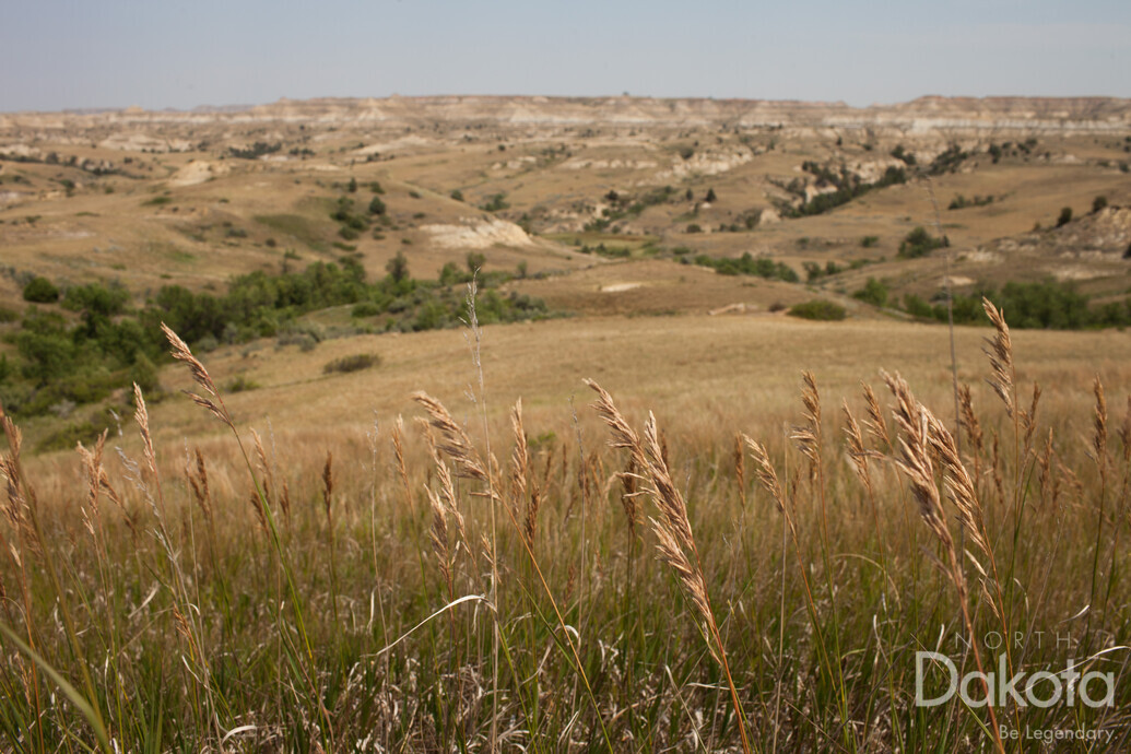 A preview of asset 58708