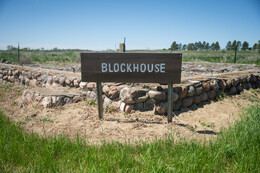 A preview of asset 91595