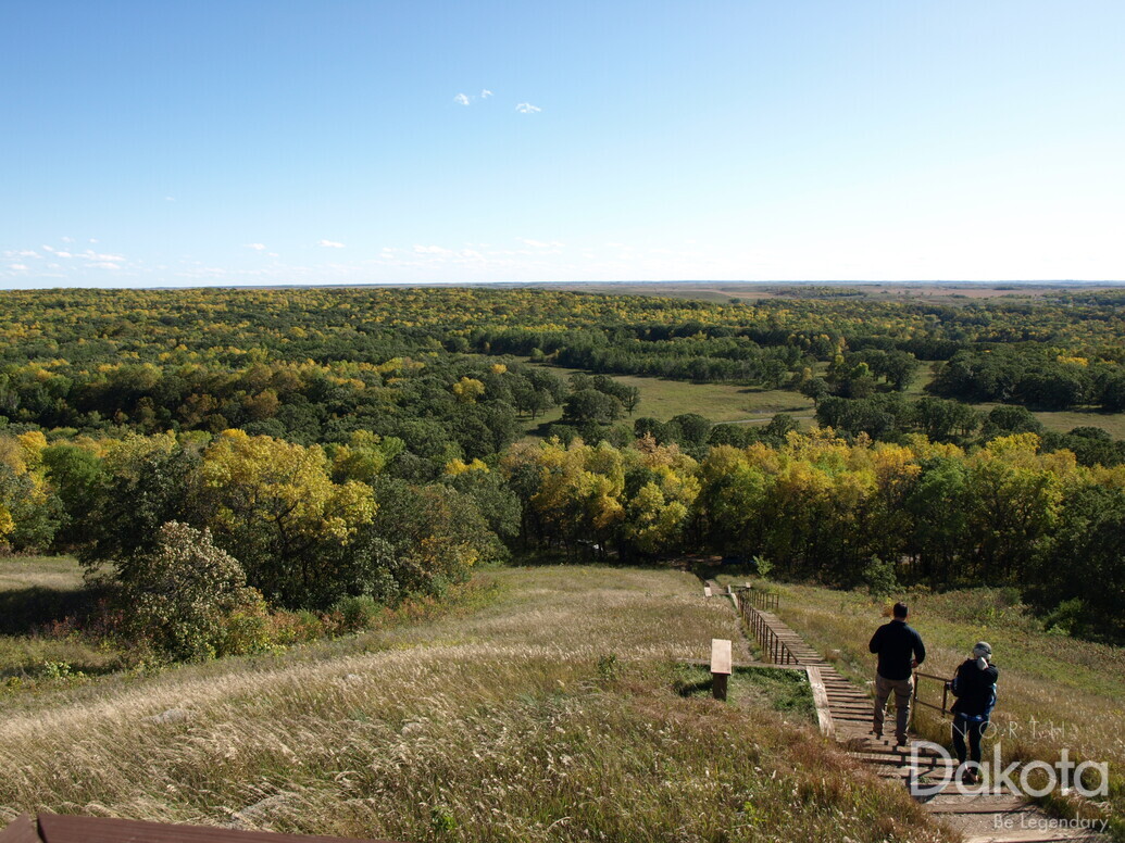 A preview of asset 69989