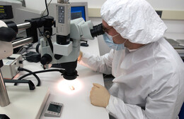 A preview of asset 73895