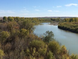 A preview of asset 69369