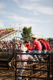 A preview of asset 57931