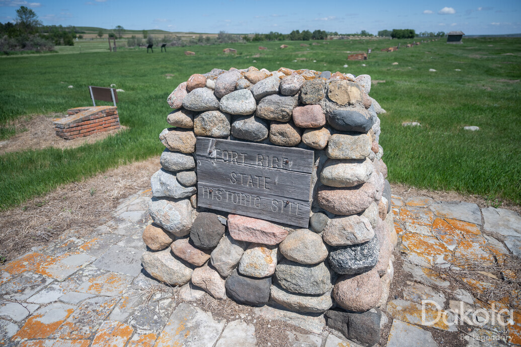 A preview of asset 91597