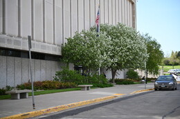 A preview of asset 76194