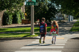 A preview of asset 50895