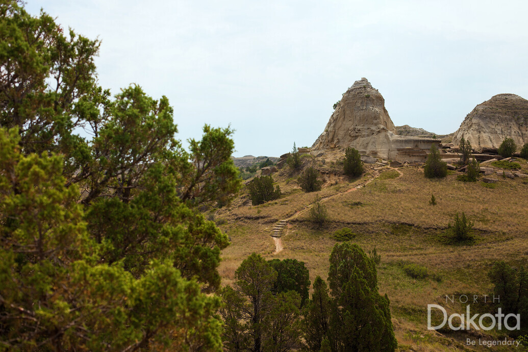 A preview of asset 58705