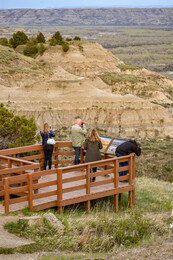 A preview of asset 74242