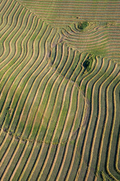 A preview of asset 57769