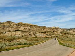 A preview of asset 74320