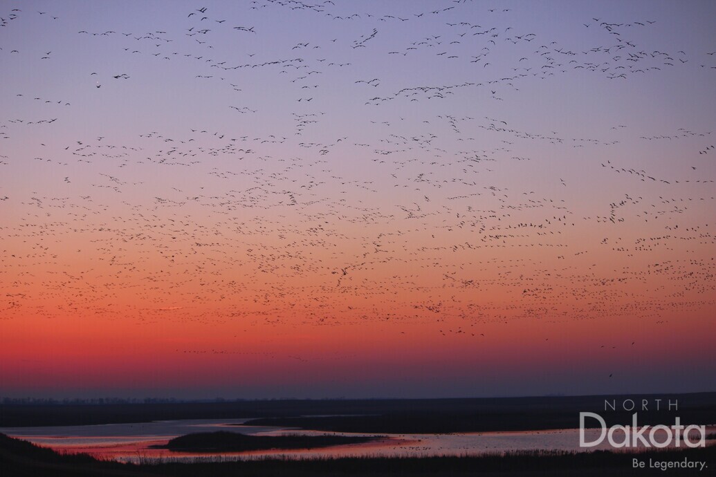 A preview of asset 82662