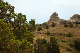 A preview of asset 58705