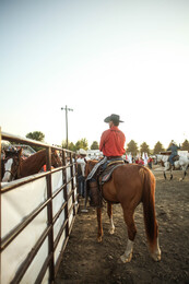 A preview of asset 57920