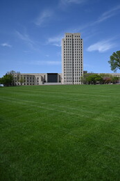 A preview of asset 76174