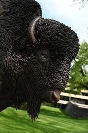 A preview of asset 76192