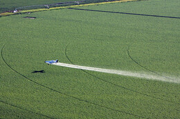 A preview of asset 57770