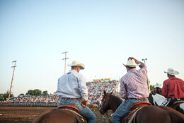 A preview of asset 57937