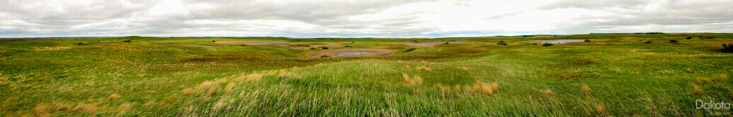 A preview of asset 82657