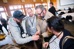 A preview of asset 66795