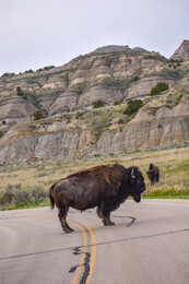 A preview of asset 74192