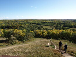 A preview of asset 69989