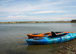 A preview of asset 69717